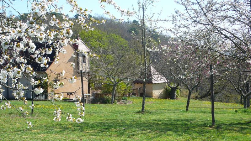 foto 3 Aluguer de frias entre particulares Montignac sur Vzre (Grottes de Lascaux) gite Aquitnia Dordogne Vista exterior do alojamento