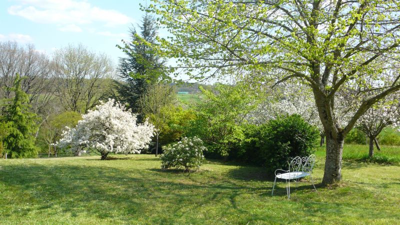 foto 6 Aluguer de frias entre particulares Montignac sur Vzre (Grottes de Lascaux) gite Aquitnia Dordogne Jardim