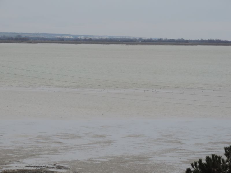 foto 5 Aluguer de frias entre particulares Le Crotoy appartement Picardie Somme Vista do terrao