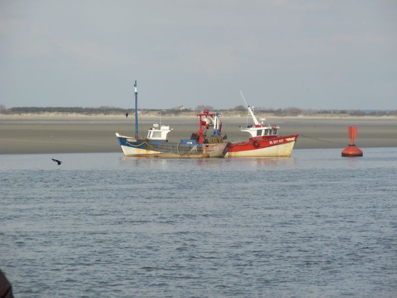 foto 21 Aluguer de frias entre particulares Cayeux-sur-Mer maison Picardie  Vista dos arredores