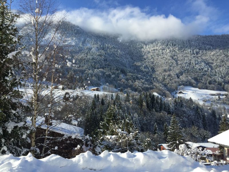 foto 18 Aluguer de frias entre particulares La Clusaz gite Rdano-Alpes Alta Sabia Vista desde do alojamento