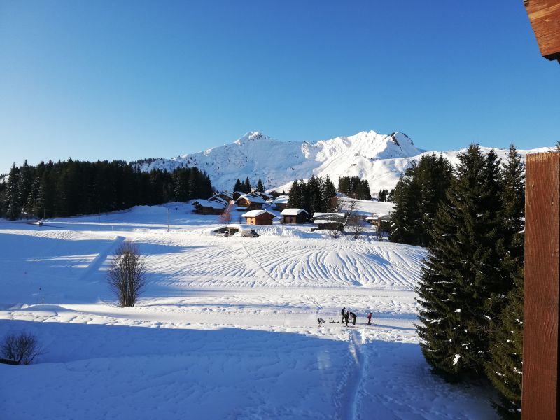 foto 8 Aluguer de frias entre particulares Praz de Lys Sommand appartement Rdano-Alpes Alta Sabia vista da varanda