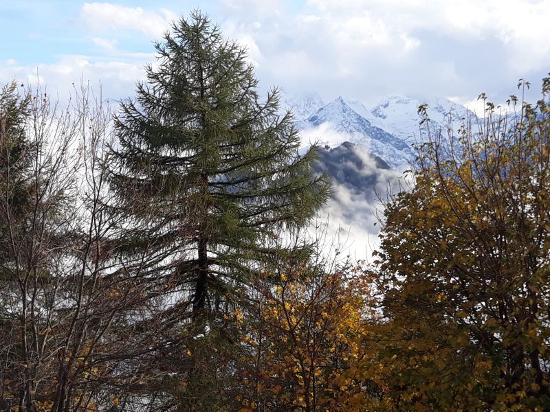 foto 21 Aluguer de frias entre particulares Alpe d'Huez appartement Rdano-Alpes Isre Vista desde do alojamento