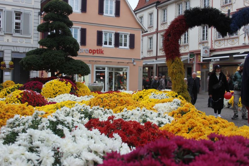 foto 15 Aluguer de frias entre particulares Slestat maison Alscia Baixo Reno