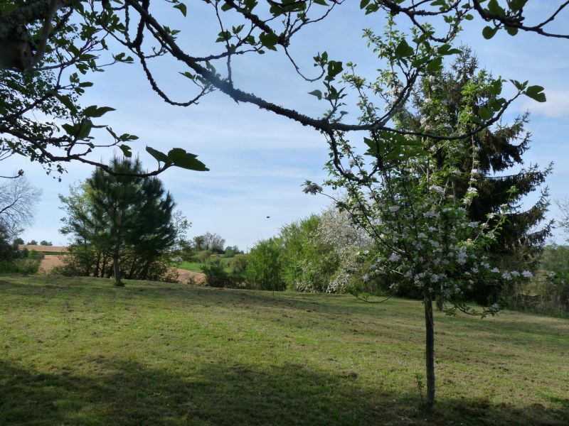 foto 0 Aluguer de frias entre particulares Arzacq-Arraziguet maison Aquitnia Pirinus Atlnticos Jardim