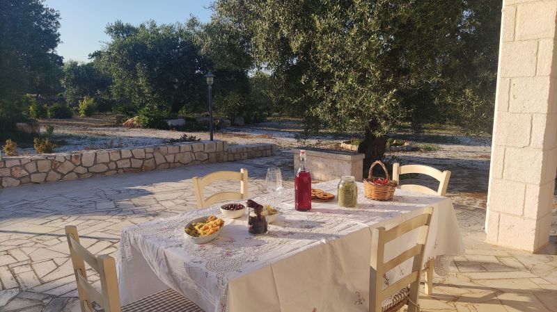 foto 8 Aluguer de férias entre particulares Locorotondo villa Puglia Bari (província de) Jardim