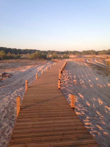 foto 15 Aluguer de frias entre particulares Biscarrosse maison Aquitnia Landes