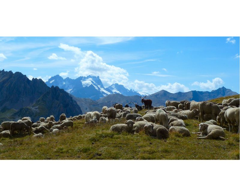 foto 24 Aluguer de férias entre particulares Valmeinier chalet Ródano-Alpes Sabóia