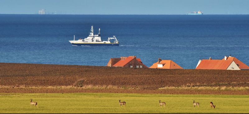 foto 20 Aluguer de férias entre particulares Wissant gite Nord-Pas de Calais Pas de Calais