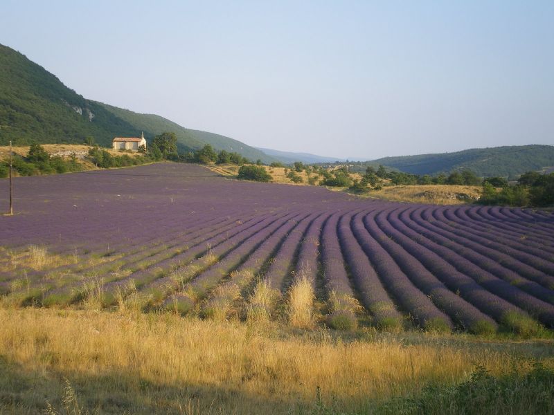 foto 9 Aluguer de férias entre particulares Forcalquier gite Provença-Alpes-Costa Azul Alpes da Alta Provença