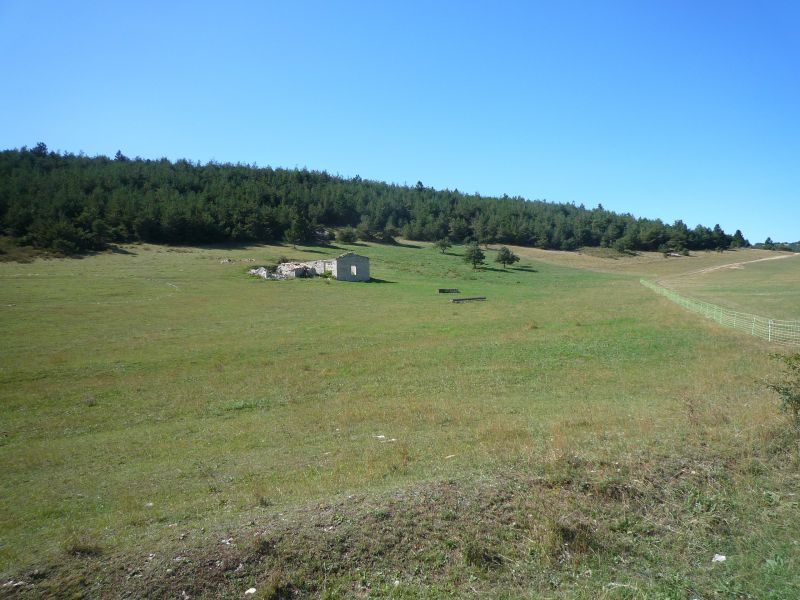 foto 16 Aluguer de férias entre particulares Forcalquier gite Provença-Alpes-Costa Azul Alpes da Alta Provença