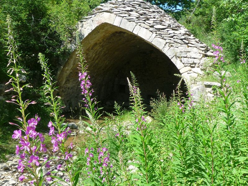 foto 17 Aluguer de férias entre particulares Forcalquier gite Provença-Alpes-Costa Azul Alpes da Alta Provença