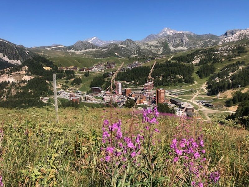 foto 19 Aluguer de férias entre particulares La Plagne appartement Ródano-Alpes Sabóia