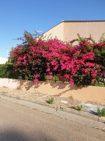 foto 26 Aluguer de férias entre particulares Quartu Sant'Elena maison Sardenha Cagliari (província de)