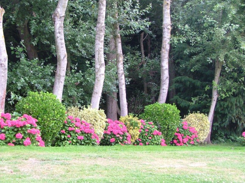 foto 4 Aluguer de frias entre particulares Wissant gite Nord-Pas de Calais Pas de Calais Jardim