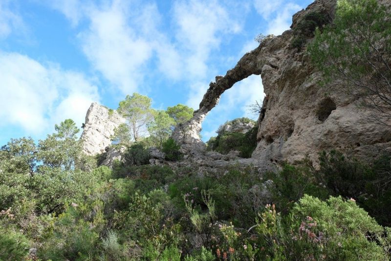 foto 26 Aluguer de frias entre particulares Pzenas villa Languedoc-Roussillon Hrault Vista dos arredores