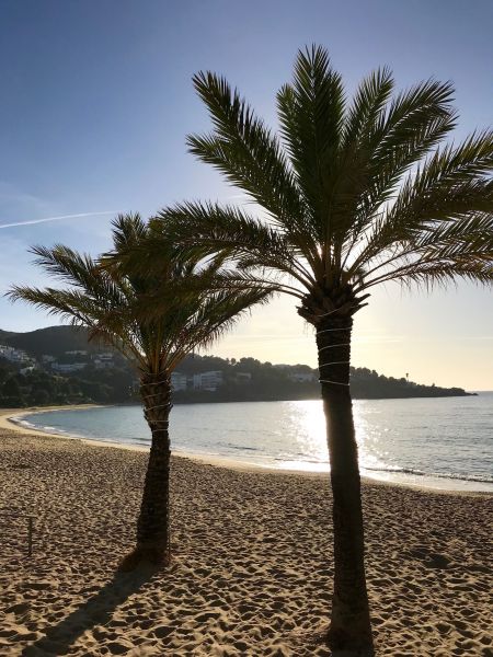 foto 16 Aluguer de férias entre particulares Rosas studio Catalunha Girona (província de) Praia