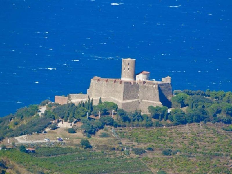 foto 21 Aluguer de férias entre particulares Collioure bungalow Languedoc-Roussillon Pirineus Orientais Vista dos arredores