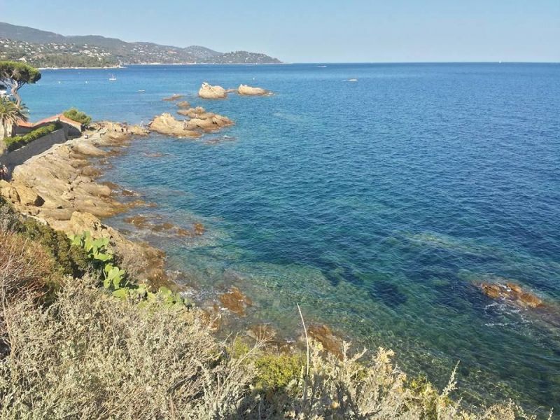 foto 17 Aluguer de frias entre particulares Le Lavandou appartement Provena-Alpes-Costa Azul Var Outras