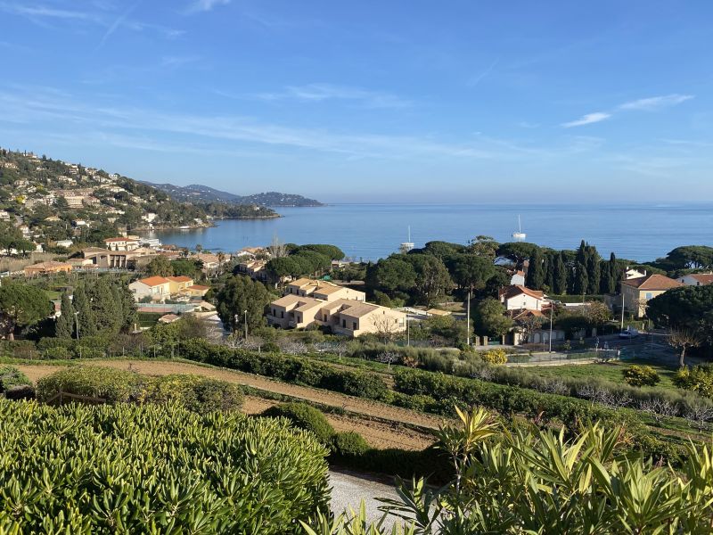 foto 1 Aluguer de férias entre particulares Le Lavandou appartement Provença-Alpes-Costa Azul Var Outras