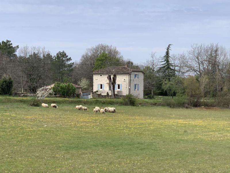 foto 1 Aluguer de férias entre particulares Cahors maison Midi-Pyrénées Lot