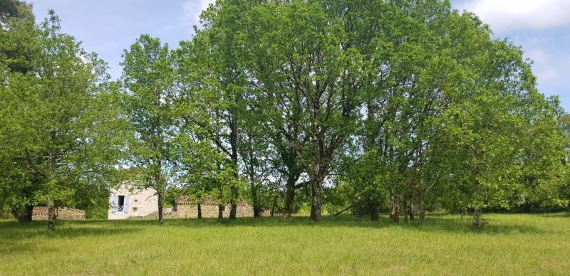 foto 5 Aluguer de férias entre particulares Cahors maison Midi-Pyrénées Lot