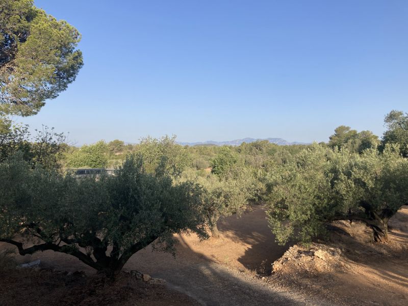 foto 10 Aluguer de frias entre particulares L'ampolla maison Catalunha Tarragona (provncia de) Vista desde do alojamento