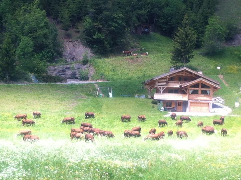 foto 13 Aluguer de férias entre particulares Le Grand Bornand chalet Ródano-Alpes Alta Sabóia Vista desde do alojamento