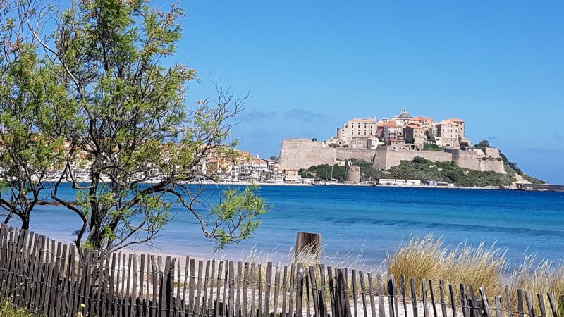 foto 13 Aluguer de férias entre particulares Calvi appartement Córsega Alta Córsega Vista dos arredores