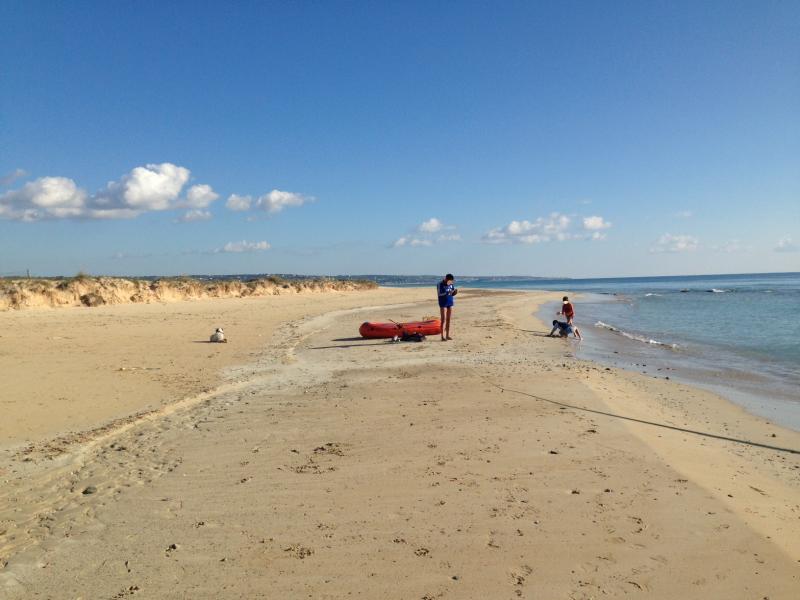 foto 10 Aluguer de frias entre particulares Pescoluse villa Puglia Lecce (provncia de) Outras