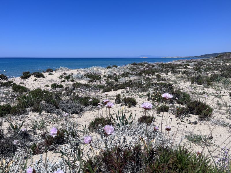 foto 19 Aluguer de frias entre particulares Badesi maison Sardenha Olbia Tempio (provncia de) Praia