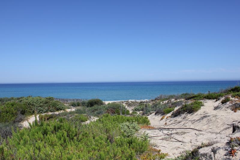 foto 13 Aluguer de férias entre particulares Badesi maison Sardenha Olbia Tempio (província de) Praia