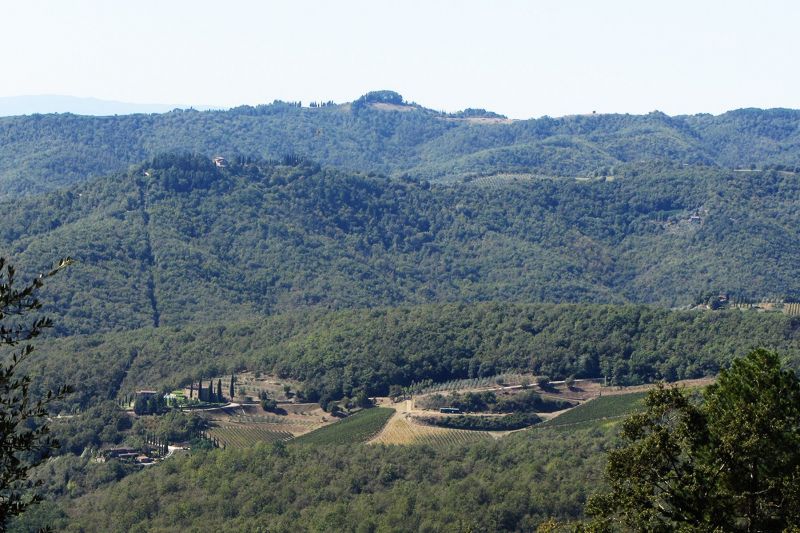 foto 24 Aluguer de férias entre particulares Siena villa Toscana Siena (província de) Vista desde do alojamento