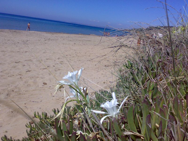 foto 16 Aluguer de frias entre particulares Sciacca appartement Siclia Agrigento (provncia de) Praia