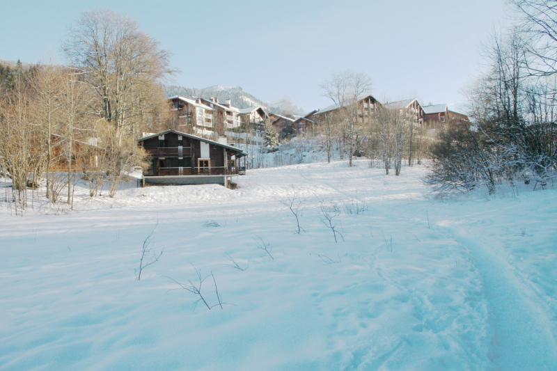 foto 10 Aluguer de férias entre particulares Les Carroz d'Araches chalet Ródano-Alpes Alta Sabóia Vista dos arredores