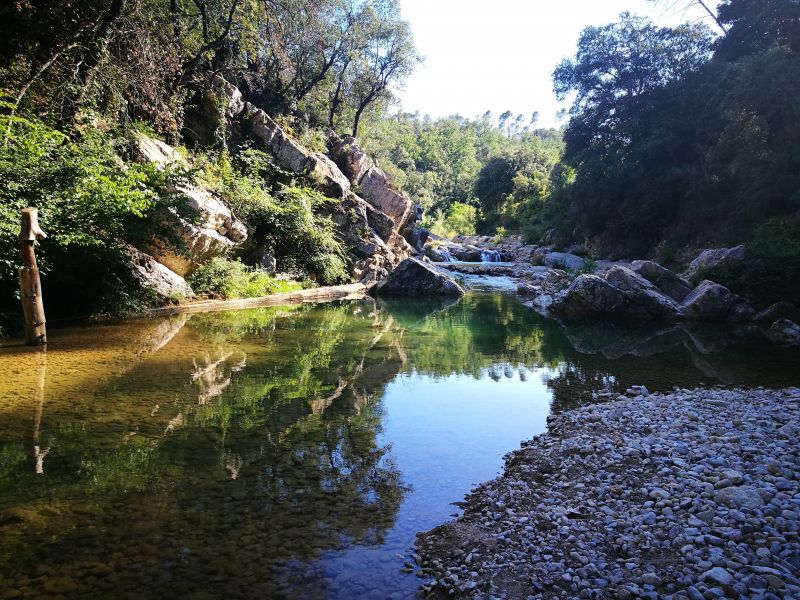 foto 5 Aluguer de frias entre particulares Lorgues gite Provena-Alpes-Costa Azul Var