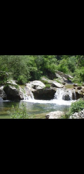 foto 25 Aluguer de frias entre particulares Lorgues gite Provena-Alpes-Costa Azul Var Outras