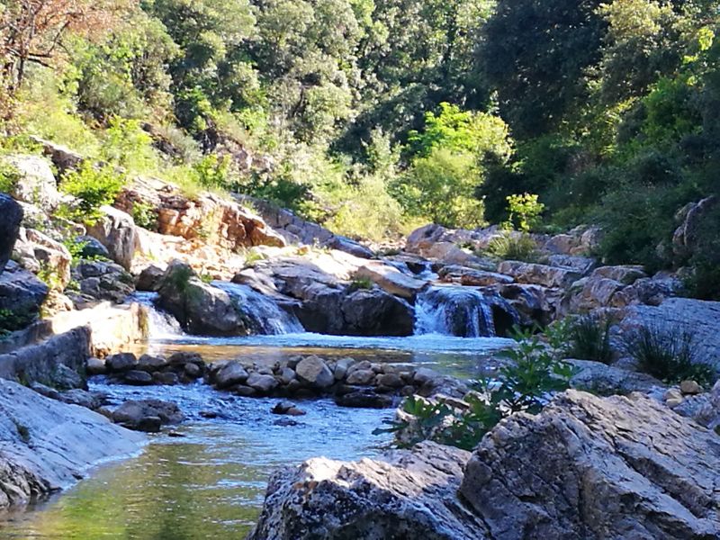 foto 0 Aluguer de frias entre particulares Lorgues gite Provena-Alpes-Costa Azul Var