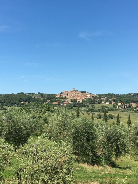 foto 6 Aluguer de frias entre particulares Casale Marittimo appartement Toscana  Vista desde do alojamento