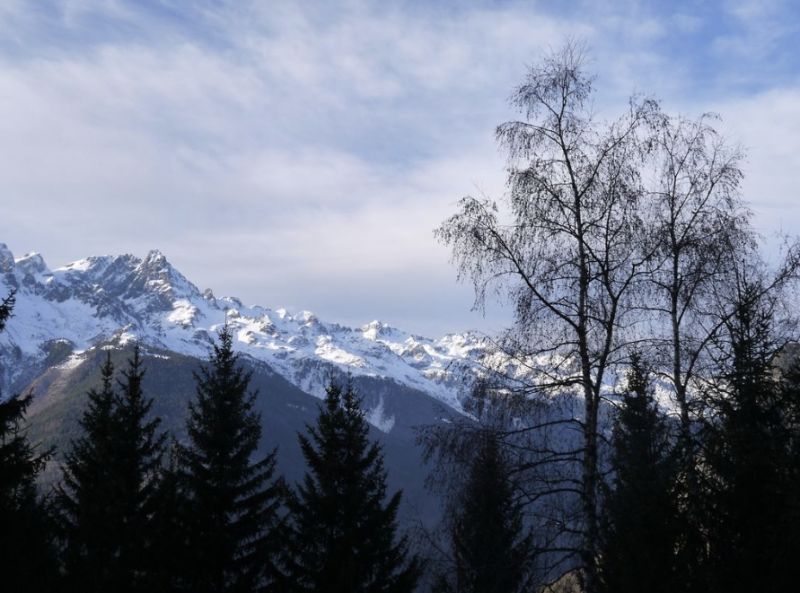 foto 5 Aluguer de frias entre particulares Oz en Oisans chalet Rdano-Alpes Isre vista da varanda