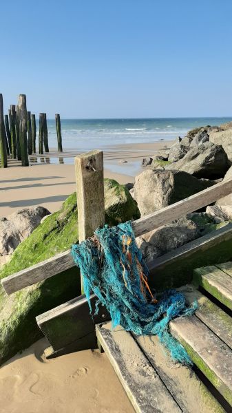 foto 22 Aluguer de férias entre particulares Wissant gite Nord-Pas de Calais Pas de Calais Praia