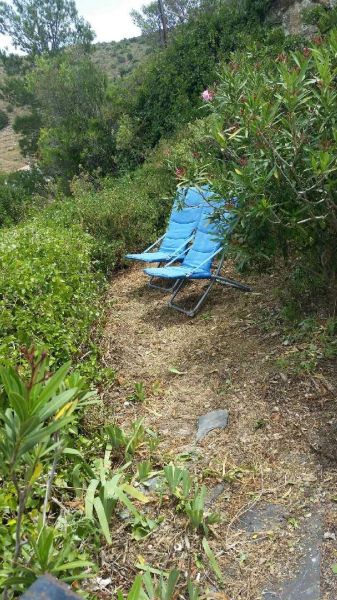 foto 15 Aluguer de férias entre particulares Rosas appartement Catalunha Girona (província de) Jardim