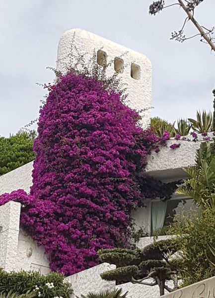 foto 27 Aluguer de férias entre particulares Rosas appartement Catalunha Girona (província de)