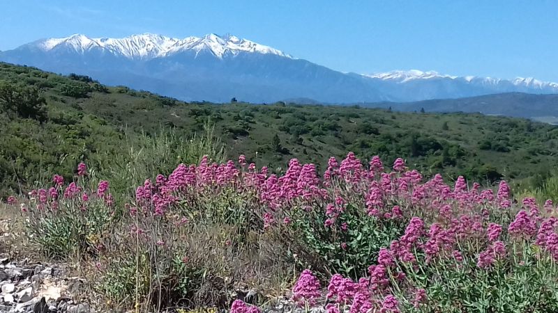 foto 14 Aluguer de frias entre particulares Banyuls-sur-Mer appartement Languedoc-Roussillon Pirineus Orientais Outras