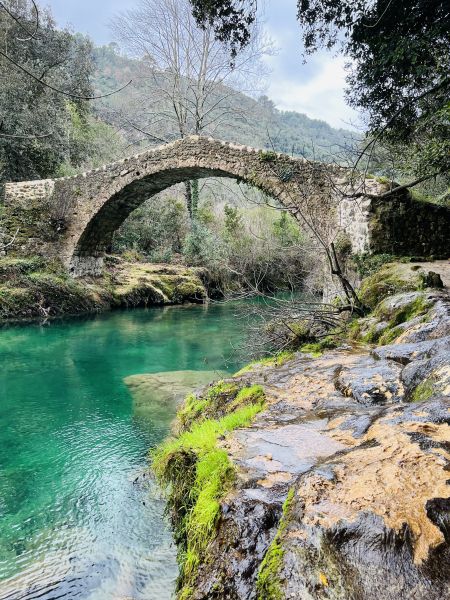 foto 12 Aluguer de frias entre particulares Le Thoronet villa Provena-Alpes-Costa Azul Var