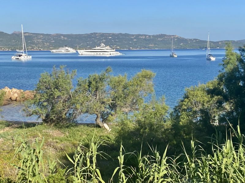 foto 4 Aluguer de frias entre particulares Baja Sardinia appartement Sardenha Olbia Tempio (provncia de) Vista desde do alojamento