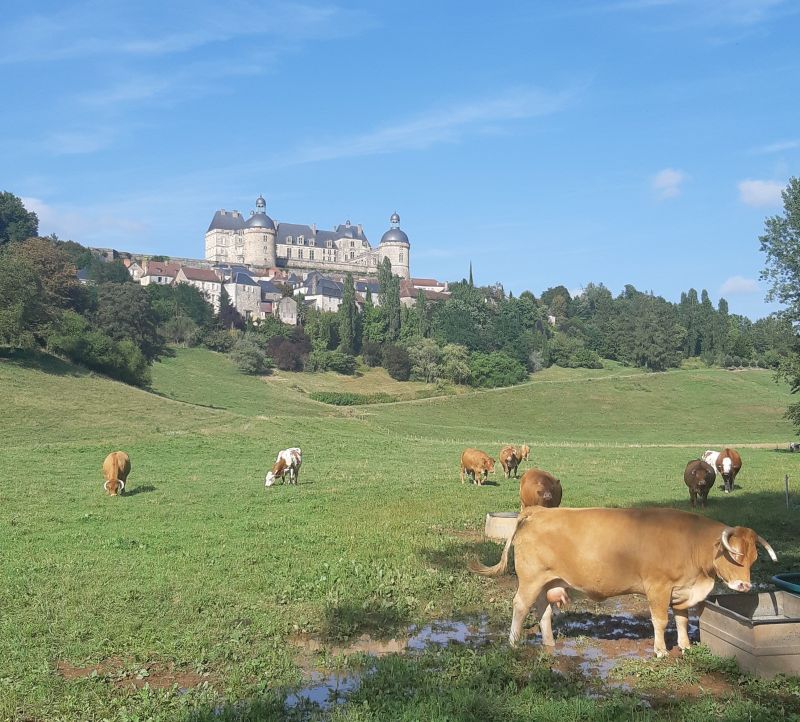 foto 8 Aluguer de frias entre particulares Brive-la-Gaillarde gite Limousin Corrze Vista dos arredores