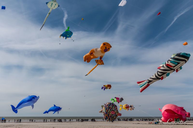 foto 4 Aluguer de frias entre particulares Berck-Praia studio Nord-Pas de Calais Pas de Calais Praia