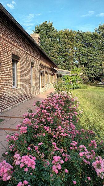 foto 14 Aluguer de frias entre particulares Veules-les-Roses maison Alta Normandia Seine-Maritime Jardim