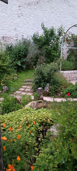 foto 12 Aluguer de férias entre particulares Lauzerte gite Midi-Pyrénées Tarn et Garonne Jardim